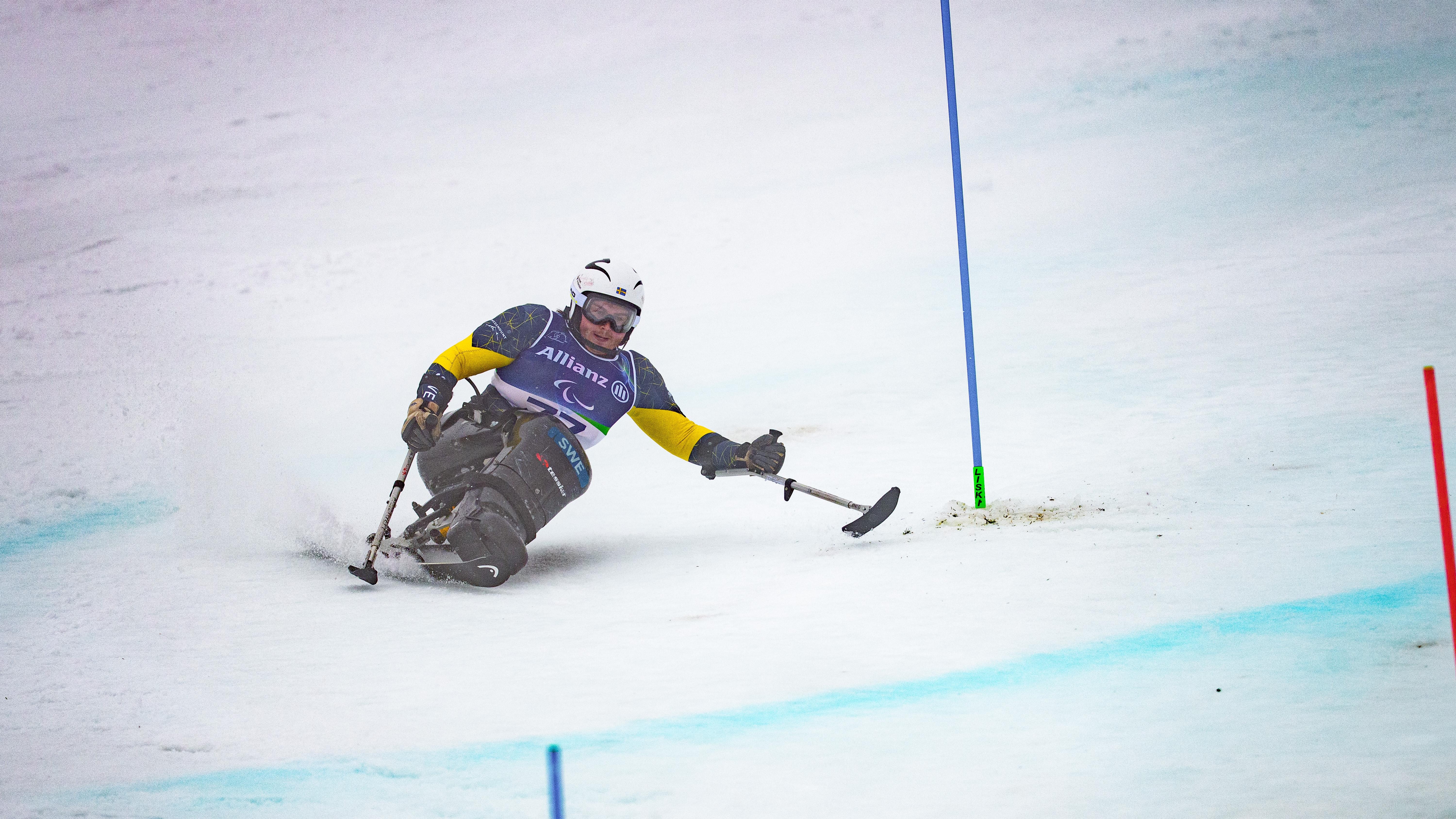 Elijah Primak kör sitski på Paralympics.