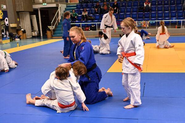 judo