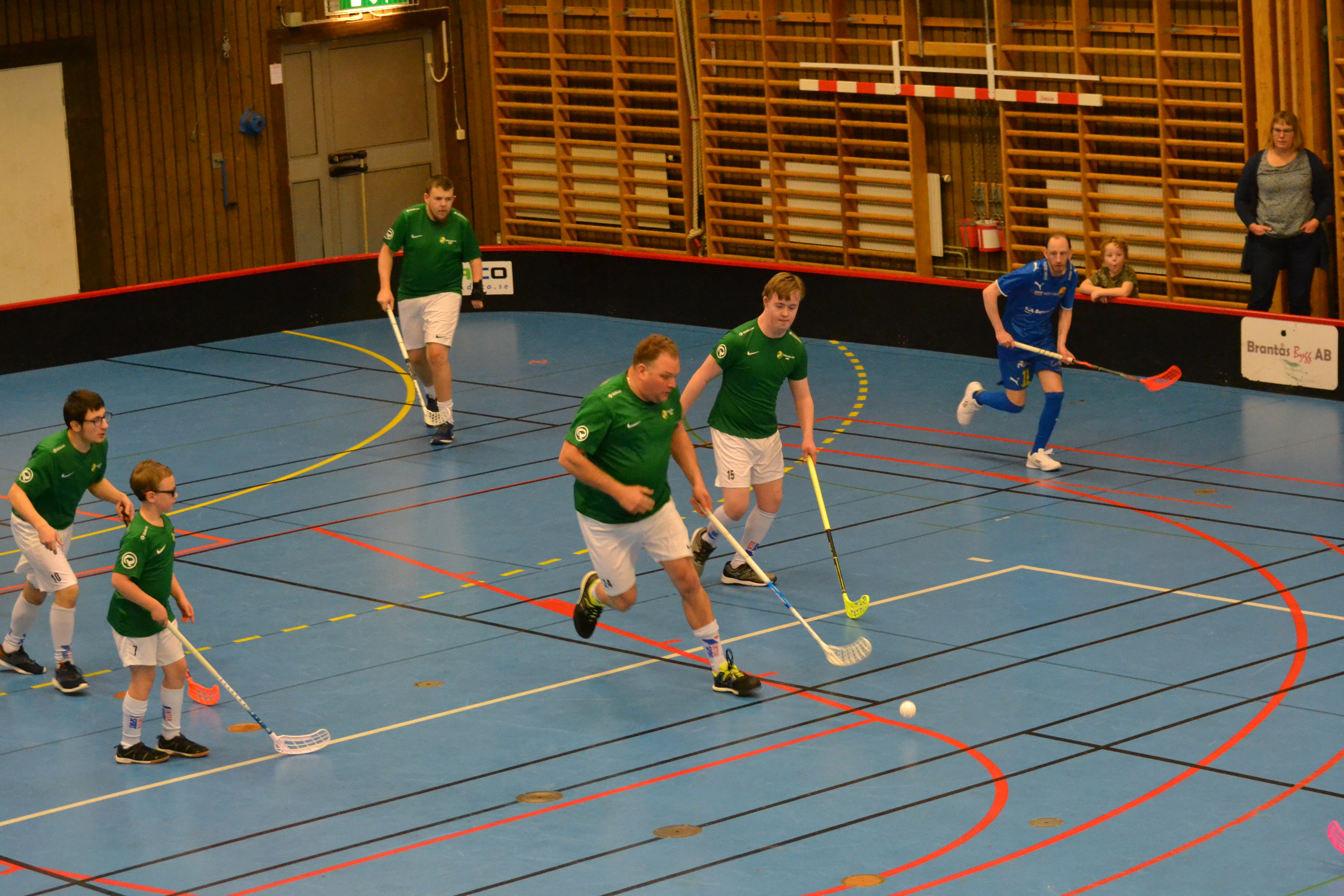 parainnebandy
