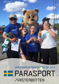 Verksamhetsberättelse 2017