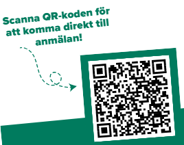 En bild