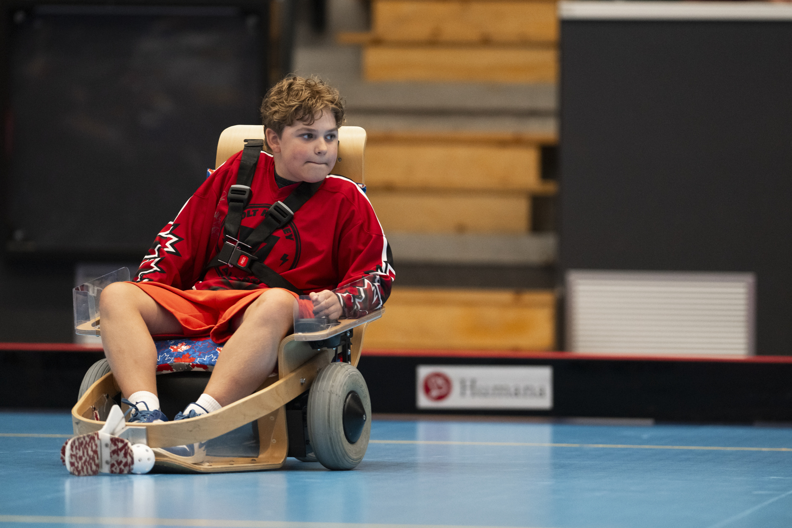 Elinnebandy