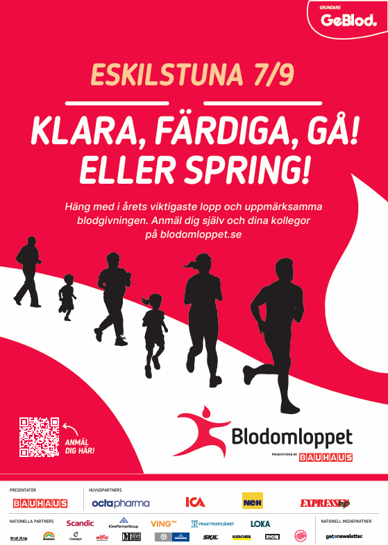 En bild