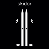 Skidor