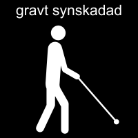 Gravt synskadad