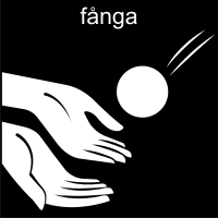Fånga
