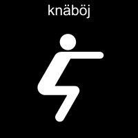 Knäböj