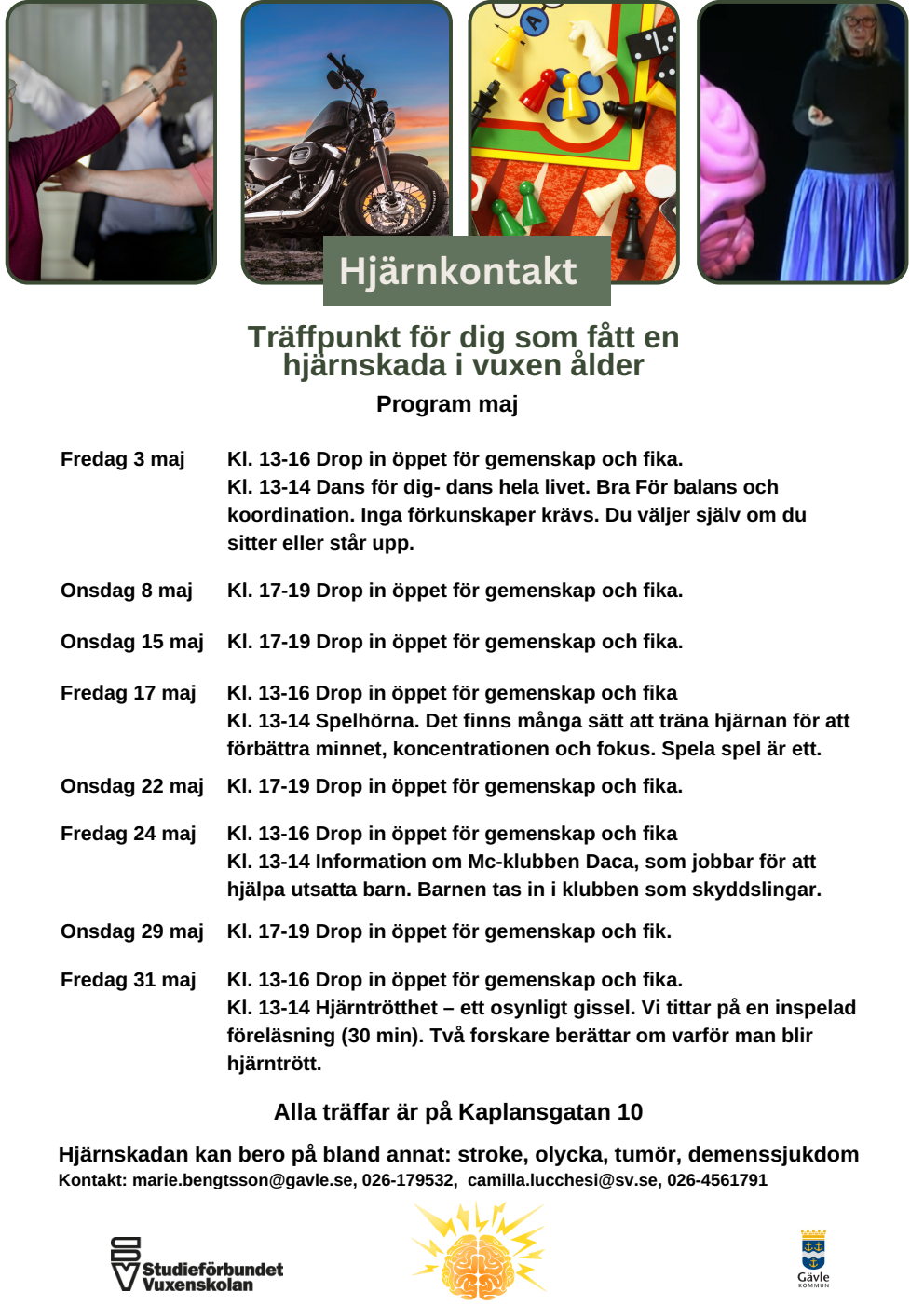 Hjärnkontakt