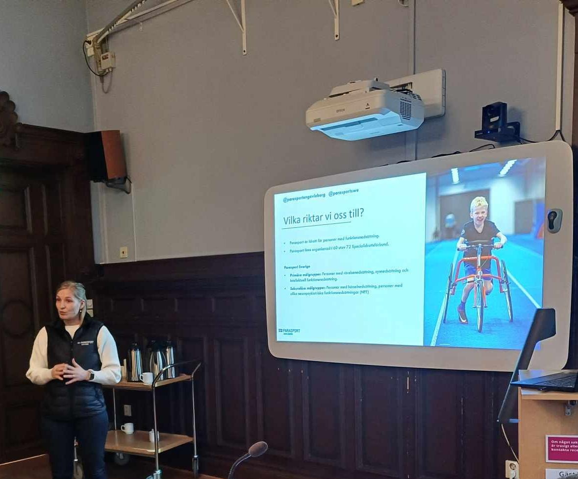 Elin Walfridsson, presentation Tillgänglighetsrådet i Söderhamn 20250304