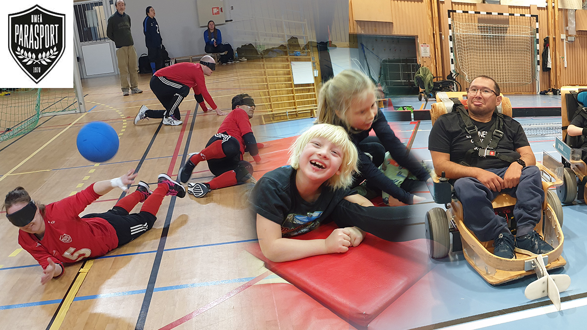Flera personer i olika åldrar som idrottar.