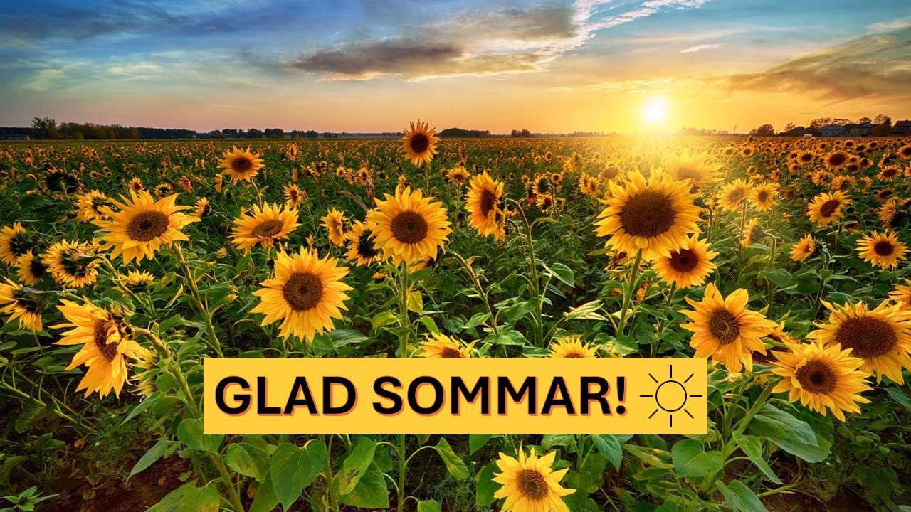Glad sommar