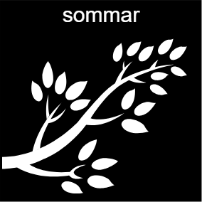 Sommar pictogram
