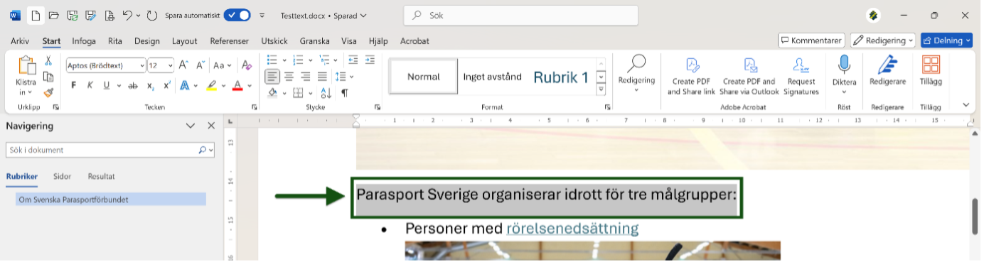 Text i ett Word-dokument är markerat och utpekat. Skärmbild.