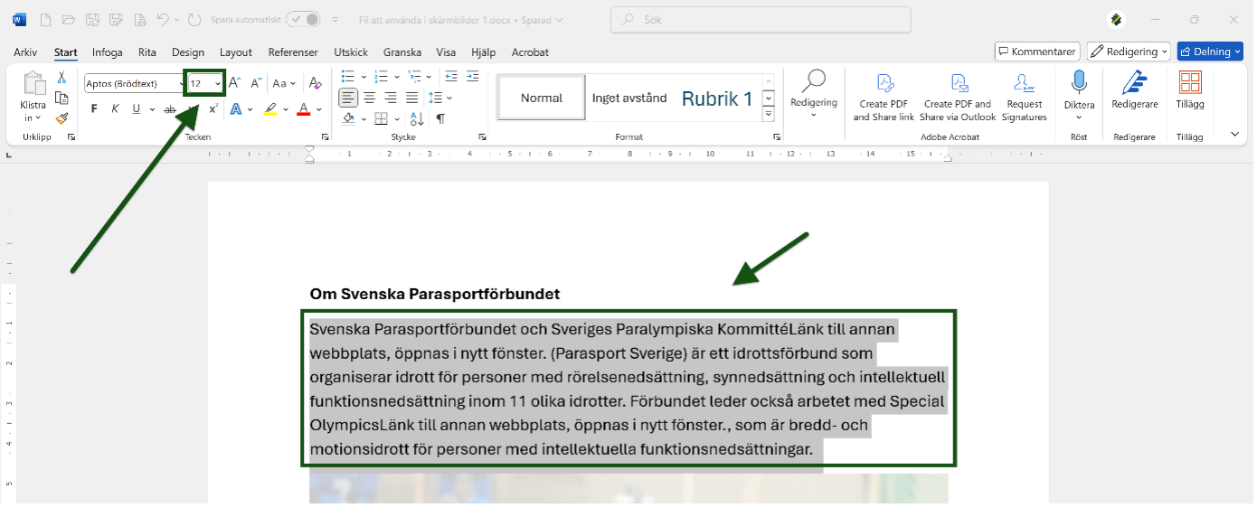 Ett textstycke och teckenstorleken 12 pt är markerat och utpekat i ett Word-dokument. Skärmbild.