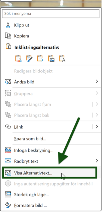 En pil pekar på menyvalet "Visa Alternativtext ..." i Word. Skärmbild.