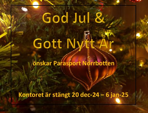 Närbild på julgranskvist med julgranspumla och mysig belysning