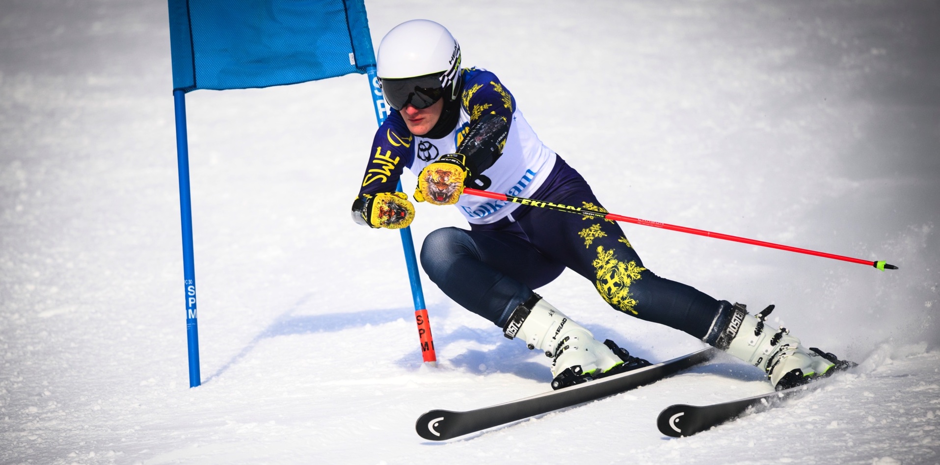 Ellen Westerlund åker skidor.