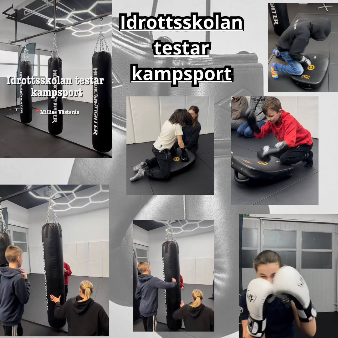 En bild
