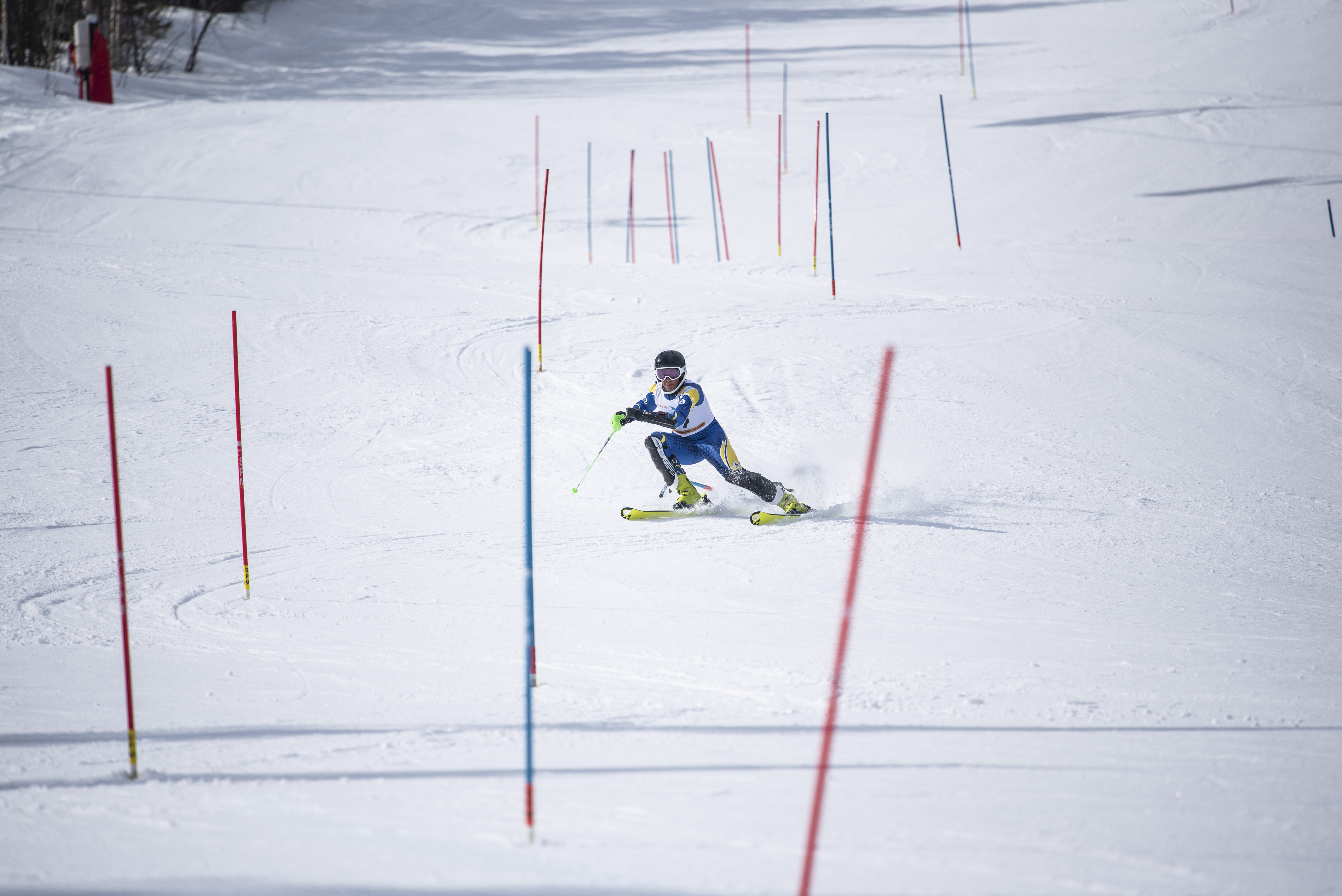 Person som åker stående slalom i en slalombacke med utplacerade käppar i backen.