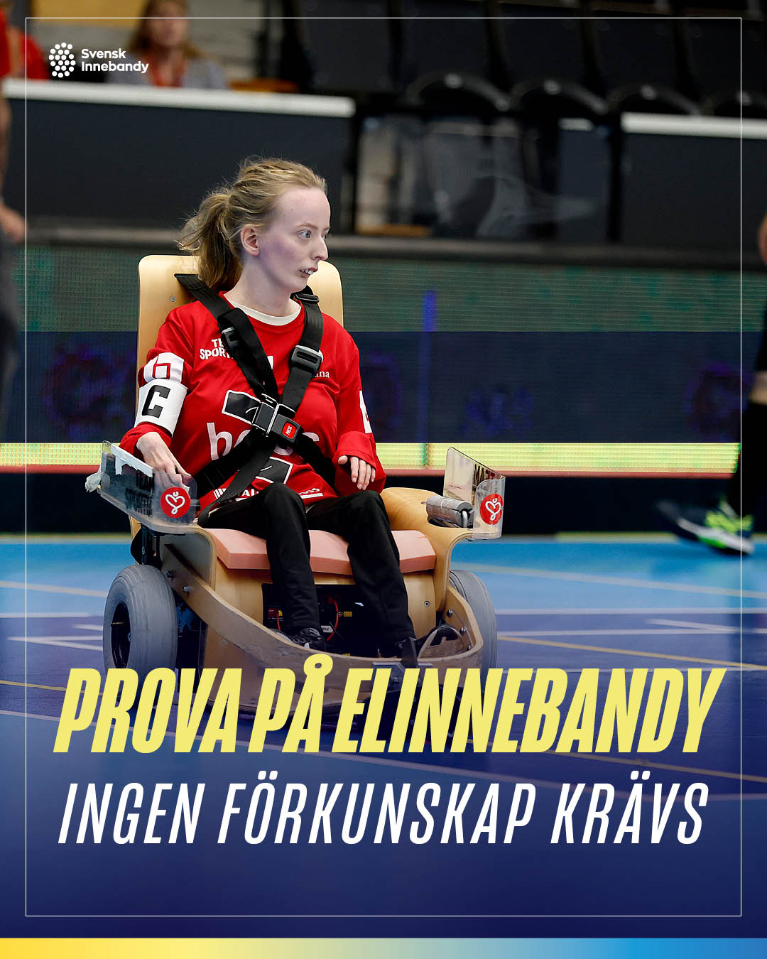En bild